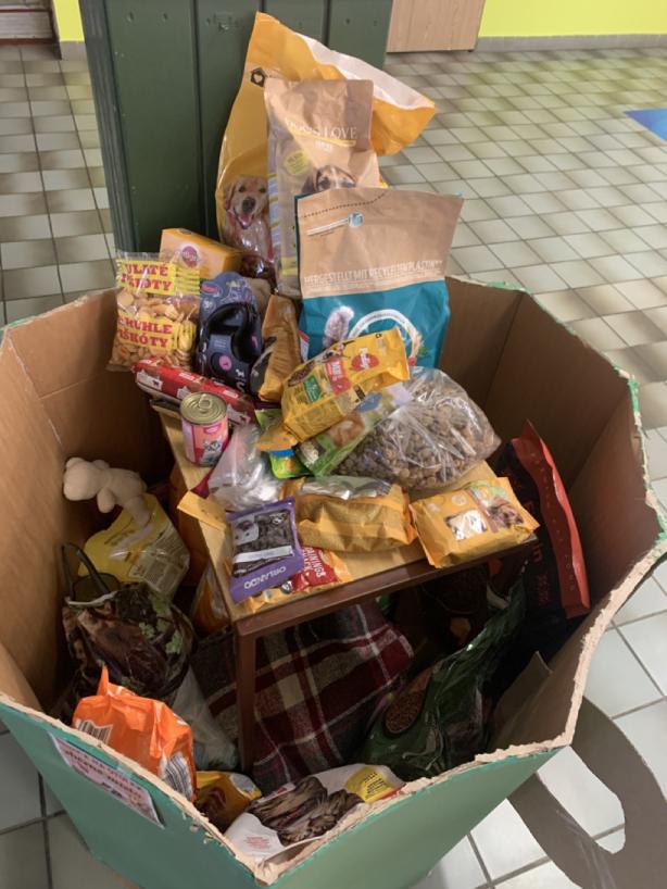 Vybrané příspěvky určitě přinesou útulku velkou pomoc.